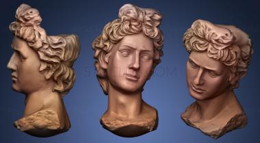 3D model Statue Head (STL)